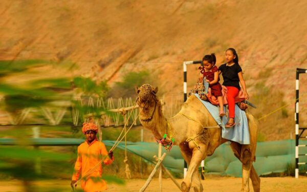 Lohagarh Farms - Image 11